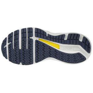 Mizuno Wave Horizon 4 Παπουτσια Για Τρεξιμο Γυναικεια - Μπλε